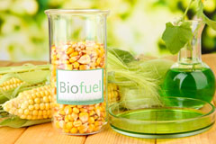 Gwern Y Brenin biofuel availability